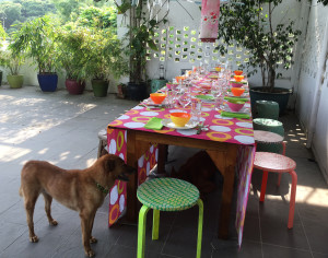 Table laid with dog